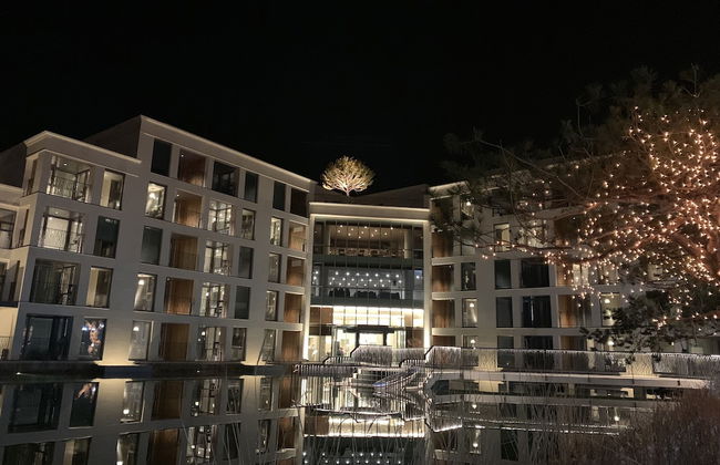 Pine Forest - Photo 38