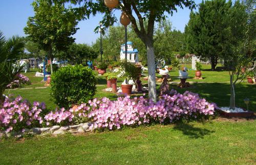 Verginia Studios - Photo 33