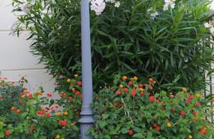 Joanna House - JApartments - Foto 23