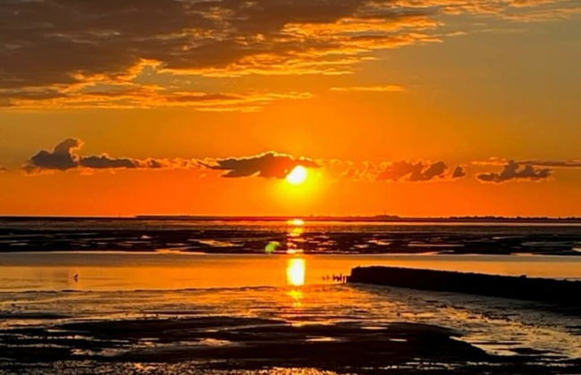 West in Haus Luttmoor - Foto 2