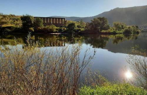 Ferienwohnung "Mosel" - Foto 72