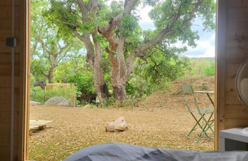 La RoseDan - Foto 19