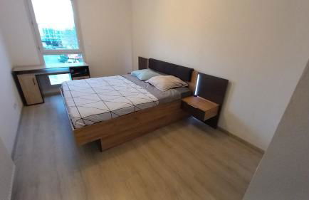 Le Barbusse LYON-T3-Garage-Terrasse-3 lits-Home Cinema - Foto 13