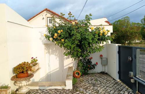 MyStay - Casa Sete Lano - Foto 24