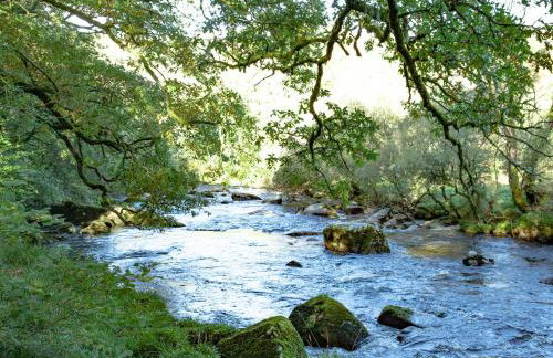 Little Meadow - Foto 20