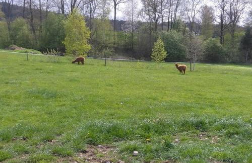 Familie Meimer - Foto 14