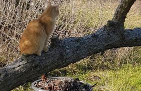 Fewo beim Saalerbodden - Foto 19