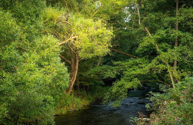 Bodetaler Basecamp Lodge - Foto 29