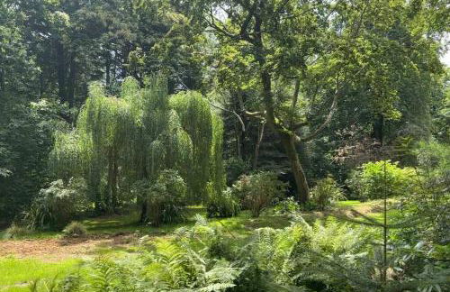 Le Perchoir Gîte de charme dans château -SPA- - Foto 16