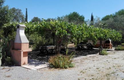 Agriturismo Il Riccio - Foto 10