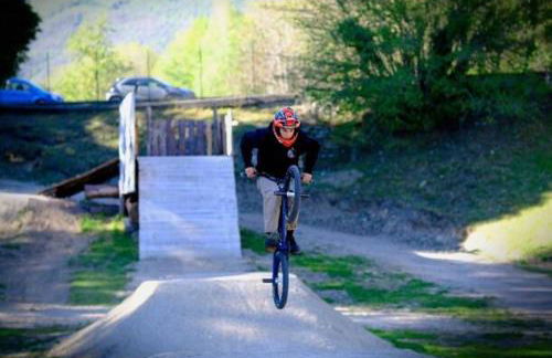 Il GLICINE - Foto 52