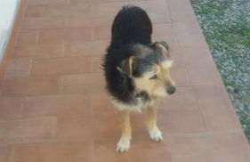 Agriturismo L'isola - Foto 12