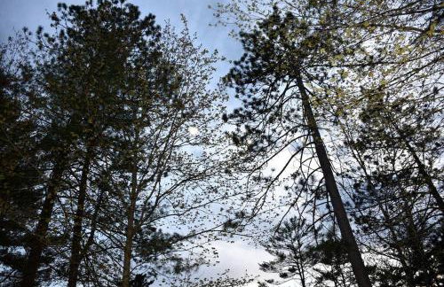 Your Perfect Getaway: Mountain Cabin Retreat with Hot Tub and Fireplace in Lisbon, NH - Foto 17