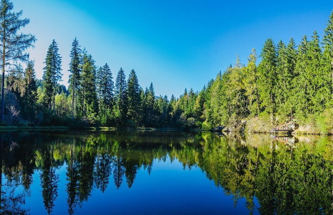 mg4 Apartments - Foto 34