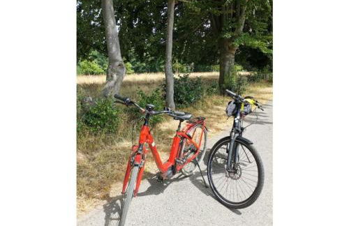 Holiday Home "schwedenhaus Bad Tabarz" - Photo 24