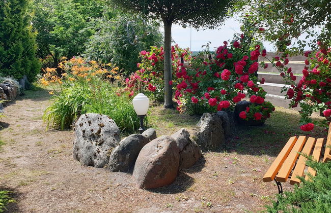 Kamienny Ogród Holiday Park - Foto 32