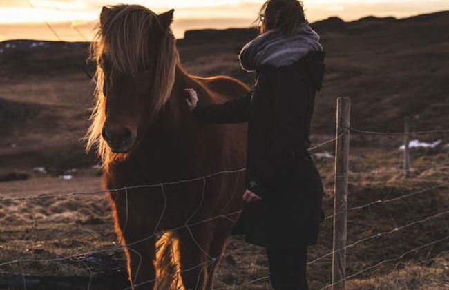 Hrafnabjörg4 - Foto 18