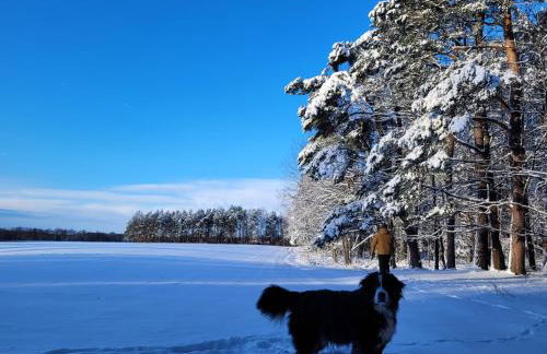 Domki nad stawem w Harszu - Foto 11