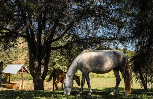 Hotel Fazenda Bavária - Photo 43