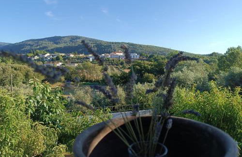 Cantinho da Saudade - Foto 7