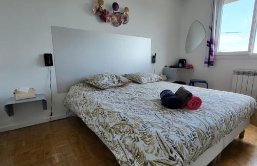 Gîtes pour groupe climatisé, parking, jardin proche Toulouse, Airbus, MEETT et aéroport - Foto 21