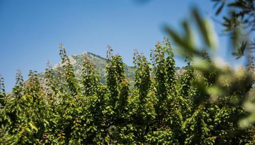 Casa Vacanza Dal Cavaliere - Foto 3