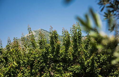 Casa Vacanza Dal Cavaliere - Foto 3