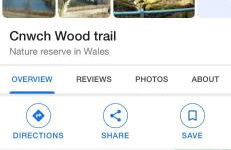 Pant yr onen holidays - Photo 46