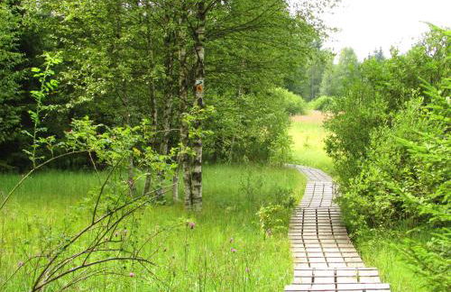 Apartments bei Familie Liebl - Foto 22