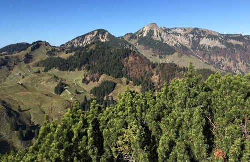 Apartment Geigelsteinstrasse - Photo 16