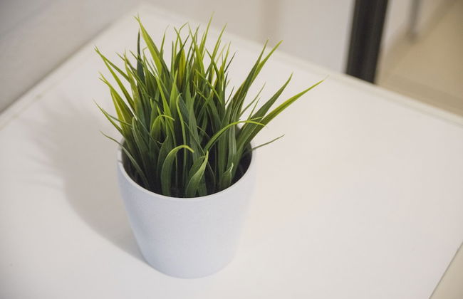 Düsseldorf Comfort Apartment - Foto 6