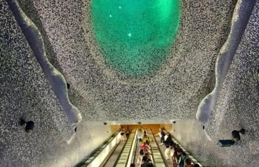 La conchiglia Napoli - Foto 43