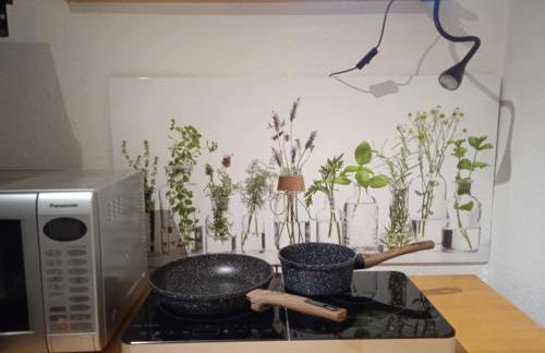 AuszeitOase am sächs. Jakobsweg - Foto 7