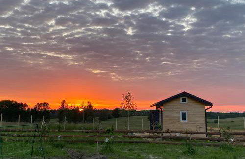 Brzozowisko Zalewo - Foto 14