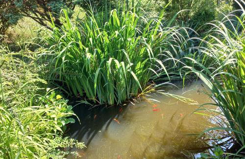 Jeziorskie Zacisze & balia - Foto 20