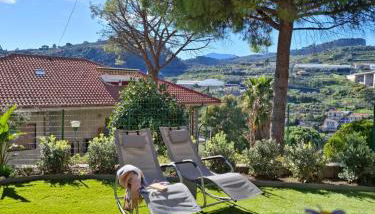 Le Mimose Garden - Photo 1, Garden view