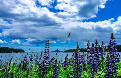 Cozy Waterfront Cottage with Private Beach and Fire Pit Near Gouldsboro, Maine - Foto 47