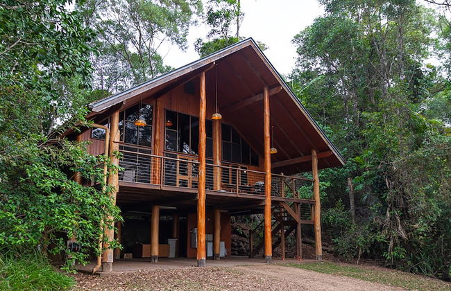 The Canopy Rainforest Treehouses and Wildlife Sanctuary - Foto 25