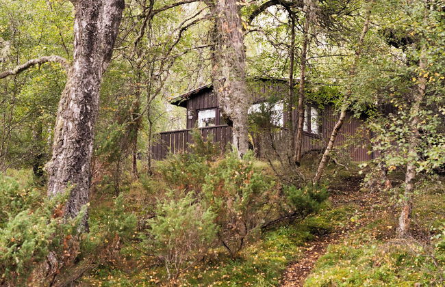 Macdonald Lochanhully Woodland Club - Foto 47