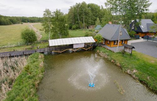 Zawilcowa Dolina - Foto 26