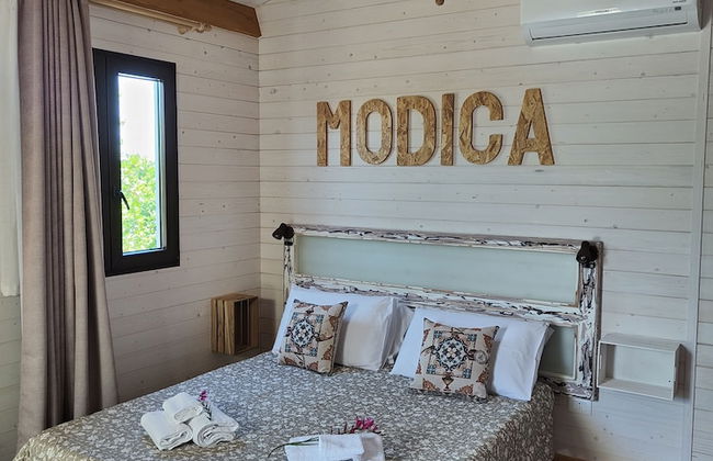 AgriBarocco - Photo 17