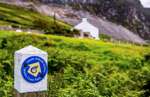 Blue - Uk43119 - Foto 16