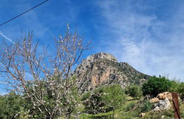 El Pitijopo - Foto 33