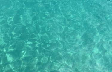 La via al mare - Portofino in battello da Nervi - Foto 24