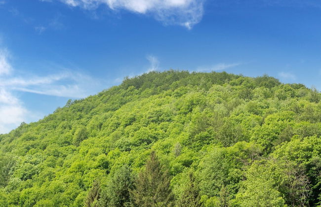 Holiday Home in Liguria Near Barbottina Forest - Foto 38