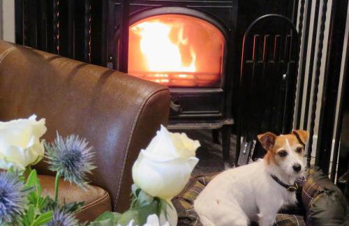 Fife Country Escapes - Foto 12