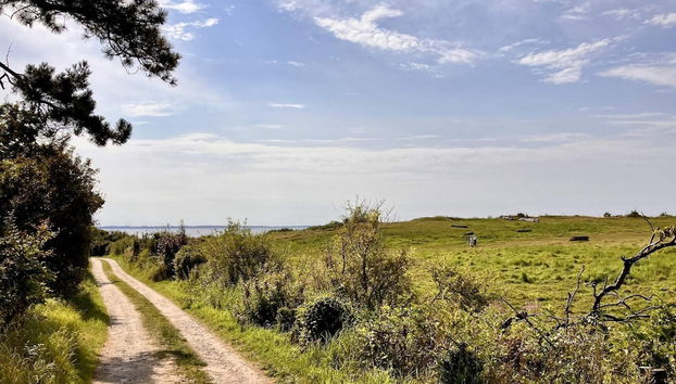 7 Person Holiday Home in Jaegerspris - Foto 3, Miscelánea