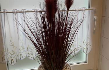 Best-Preis FEWO Rathausblick 2 - Zentrale Lage in Wittenberge - 2 Personen - Einzelzimmer - Vollausstattung - WLAN / Prime & Self-Check-In - Foto 14