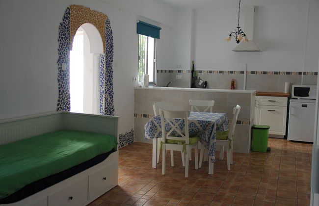 Studio Tropical - Foto 14