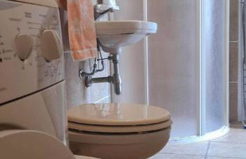 Il rosmarino - Foto 13